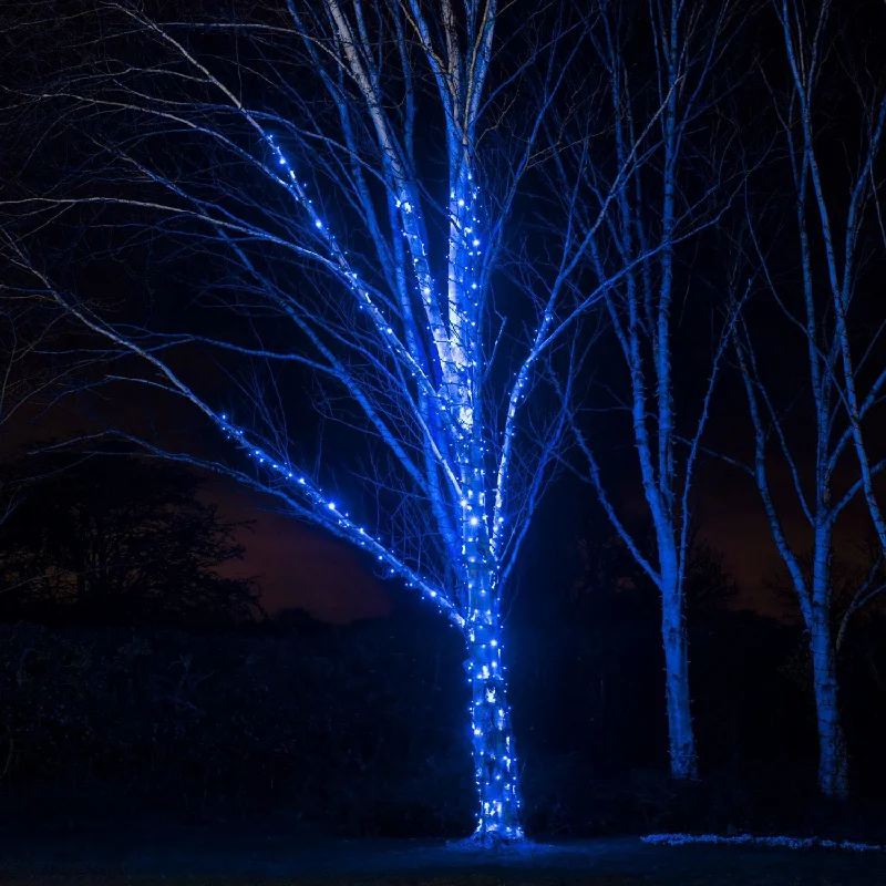 String Lights for Restaurant Outdoor SeatingPro Connect 15m 150 Blue Connectable String Lights Black Cable