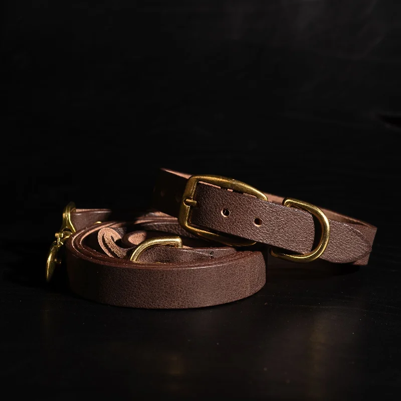 Rover Leather Dog Leash and Collar Set