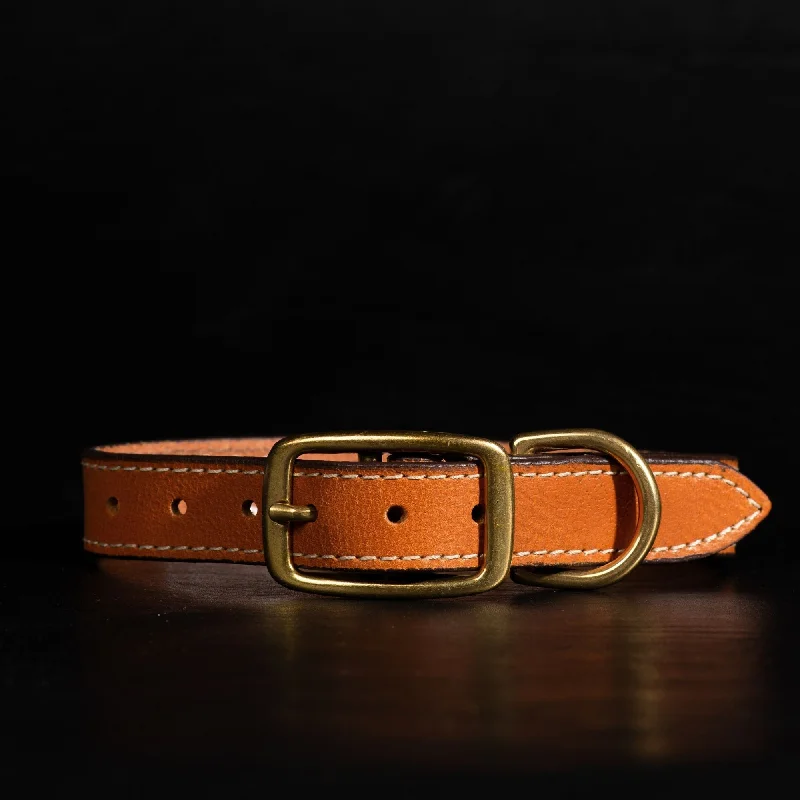 Trailblazer - Cognac Stitched Premium Leather Dog Collar - Made in Canada