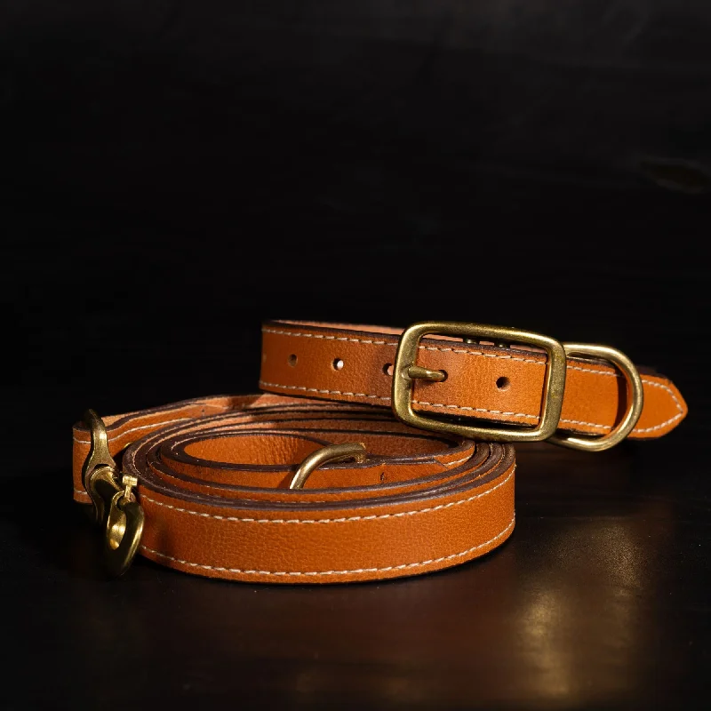 Trailblazer - Premium Leather Dog Leash and Collar Set