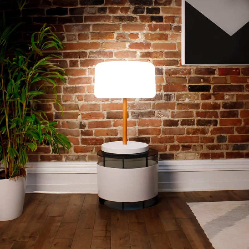  Way Switch Floor Lamp for Multiple Light Intensity LevelsChloe (adjustable height)